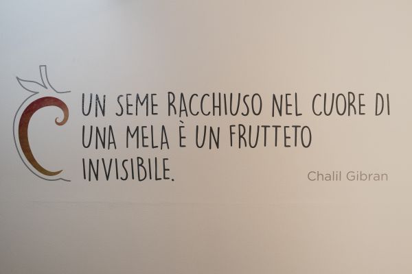 chalil-gibranB367FE4A-21BB-AED5-CD35-15FC08F00294.jpg